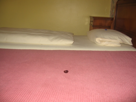Nard laying on hotel bed in Rothenburg