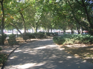 Park with row of benches