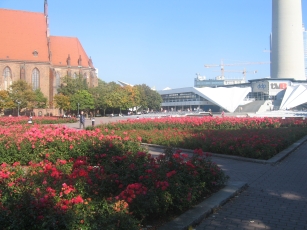 Rose gardens at Alexanderplatz
