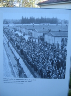 Prisoners of the Dachau concentration camp pour forth and cheer the arrival of American soldiers
