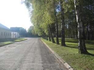 The western road at Dachau